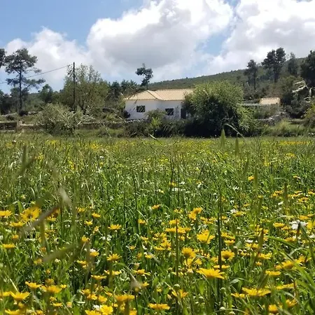 Séjour chez l'habitant Dorinda *