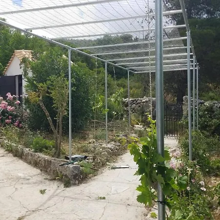Dorinda Séjour chez l'habitant *