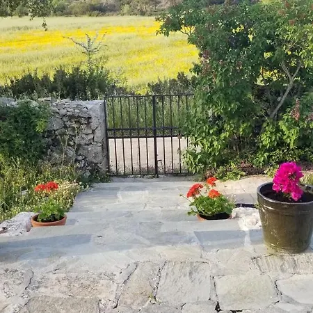 Homestay Dorinda Agia Marina (Zakynthos)